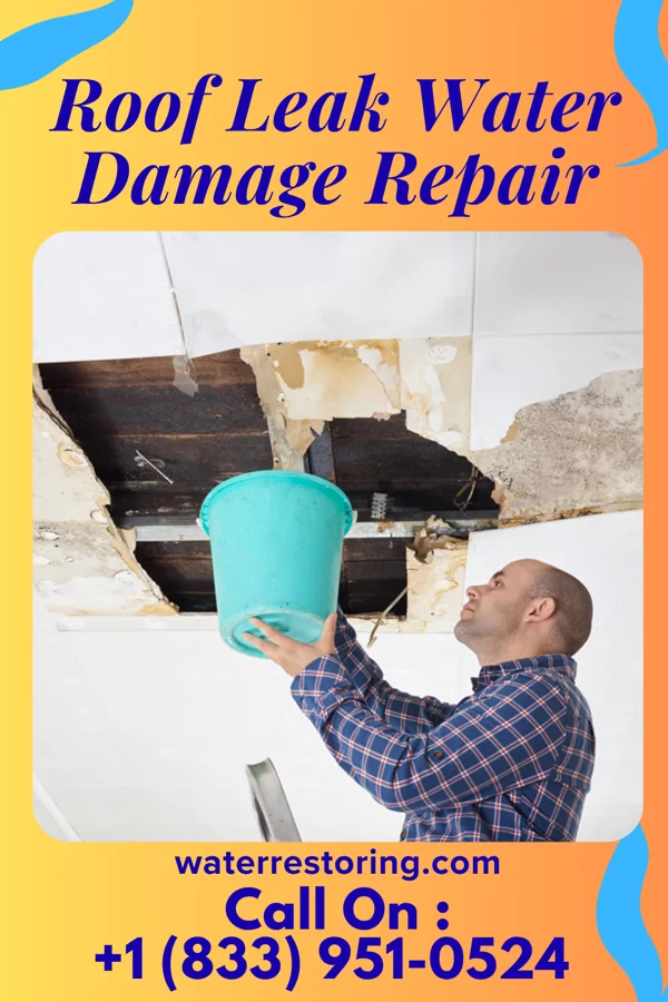 Roof Leak Water Damage Repair in Meadow Acres, WY